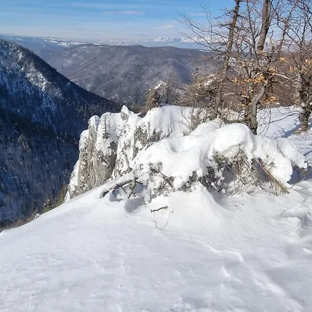 Za Holubnicou *