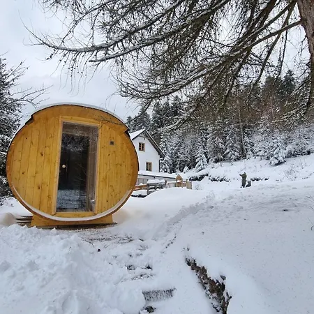 Za Holubnicou Holiday home *